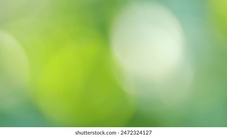 后插动图 后插动图